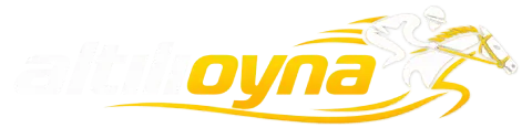 Altılı Oyna